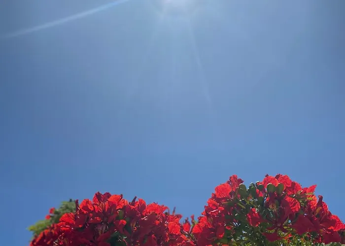 Lejlighed Tisalaya Bright Maspalomas (Gran Canaria)